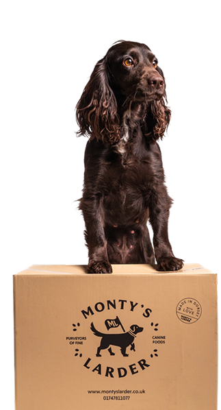Delivery driver handing a box to a happy dog