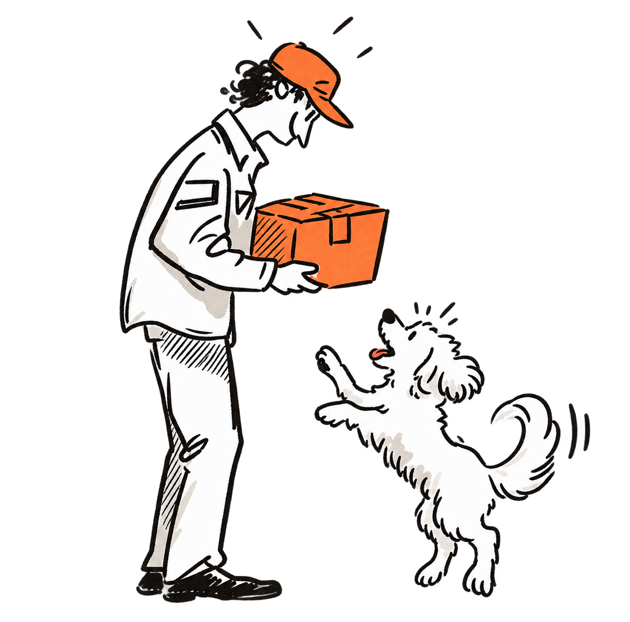 Delivery driver handing a box to a happy dog